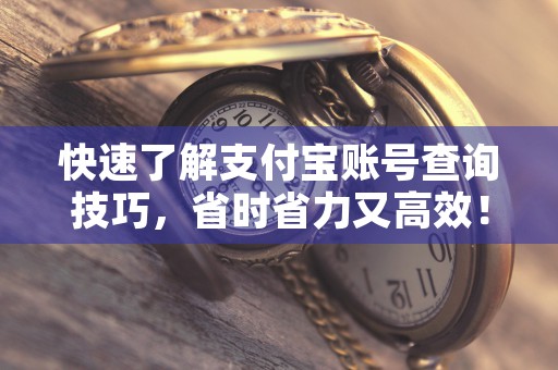 快速了解支付宝账号查询技巧，省时省力又高效！