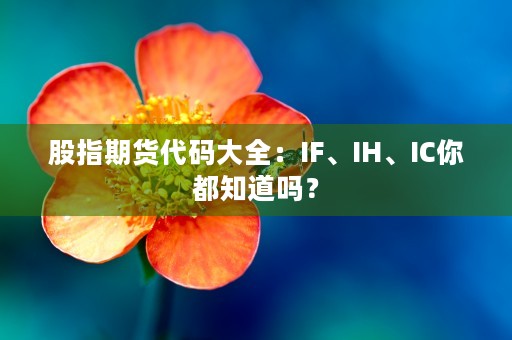 股指期货代码大全：IF、IH、IC你都知道吗？