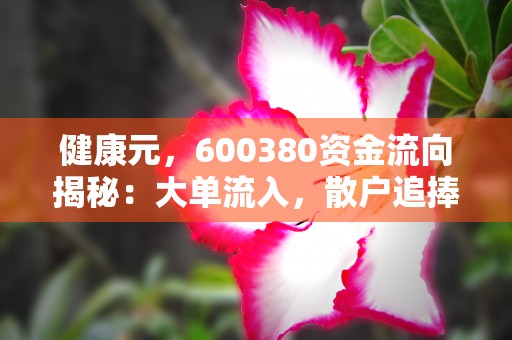 健康元，600380资金流向揭秘：大单流入，散户追捧！