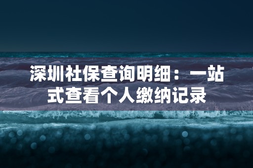 深圳社保查询明细：一站式查看个人缴纳记录