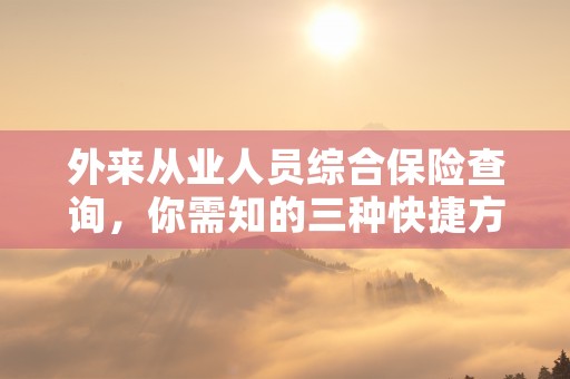 外来从业人员综合保险查询，你需知的三种快捷方法！