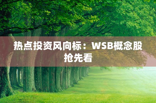 热点投资风向标：WSB概念股抢先看