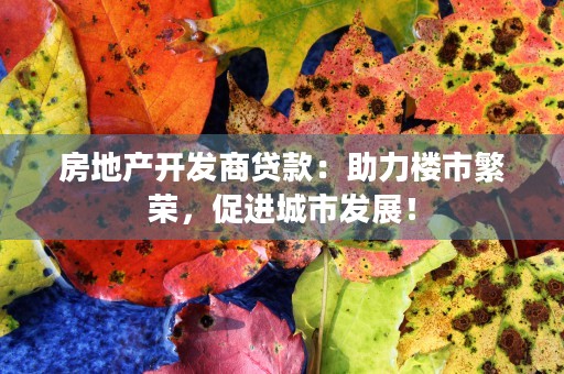 房地产开发商贷款：助力楼市繁荣，促进城市发展！