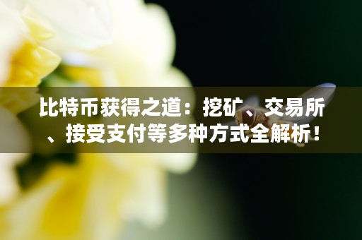 比特币获得之道：挖矿、交易所、接受支付等多种方式全解析！