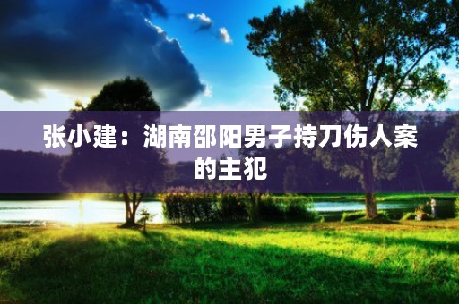 张小建：湖南邵阳男子持刀伤人案的主犯