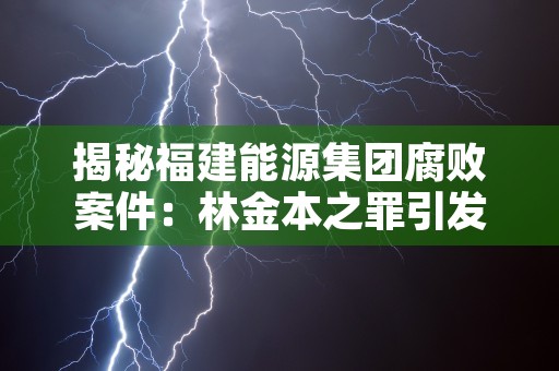 揭秘福建能源集团腐败案件：林金本之罪引发舆论热议！