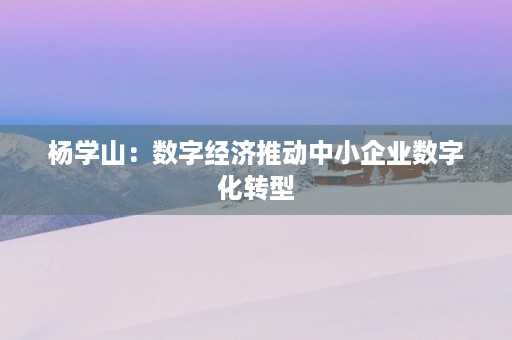 杨学山：数字经济推动中小企业数字化转型