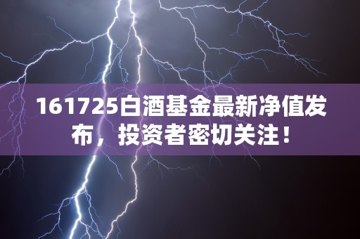 161725白酒基金最新净值发布，投资者密切关注！