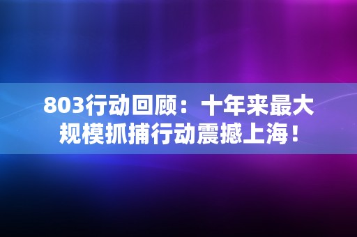 803行动回顾：十年来最大规模抓捕行动震撼上海！