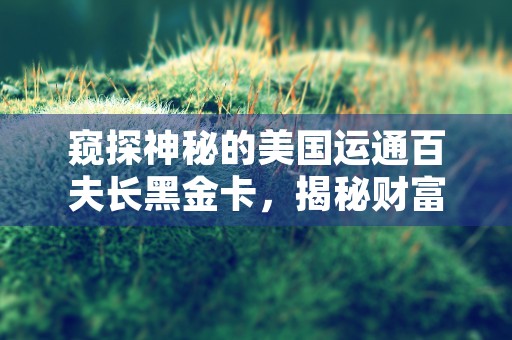 窥探神秘的美国运通百夫长黑金卡，揭秘财富的奢华密码！