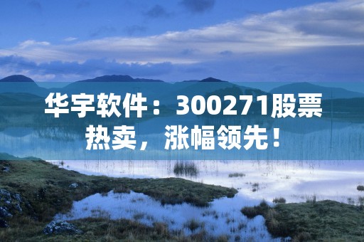 华宇软件：300271股票热卖，涨幅领先！