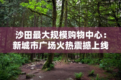 沙田最大规模购物中心：新城市广场火热震撼上线！