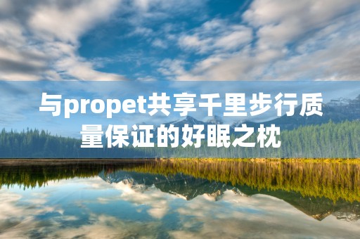 与propet共享千里步行质量保证的好眠之枕