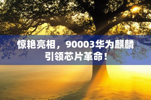 惊艳亮相，90003华为麒麟引领芯片革命！