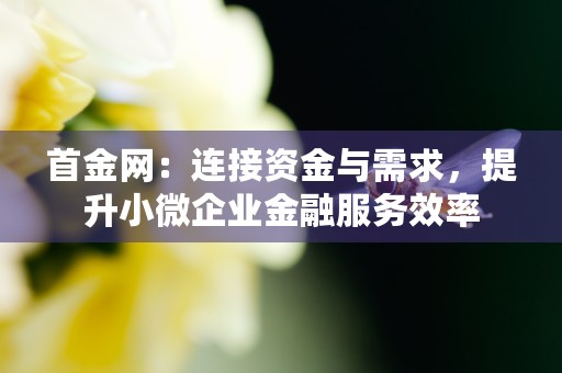 首金网：连接资金与需求，提升小微企业金融服务效率