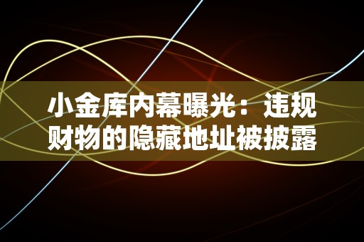 小金库内幕曝光：违规财物的隐藏地址被披露