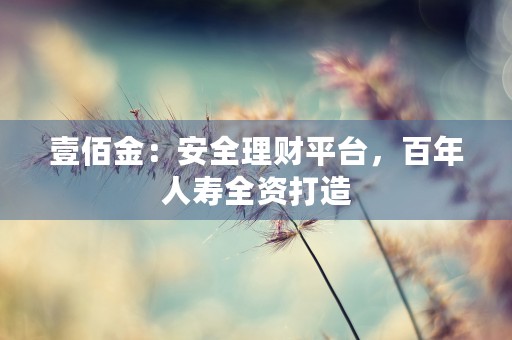 壹佰金：安全理财平台，百年人寿全资打造