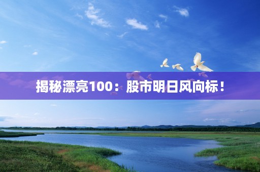 揭秘漂亮100：股市明日风向标！