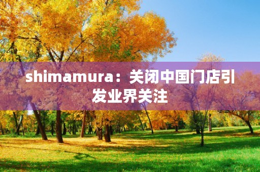 shimamura：关闭中国门店引发业界关注