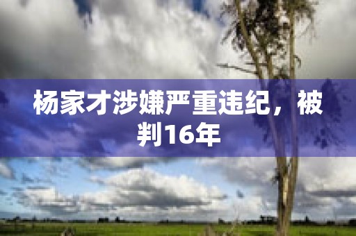 杨家才涉嫌严重违纪，被判16年