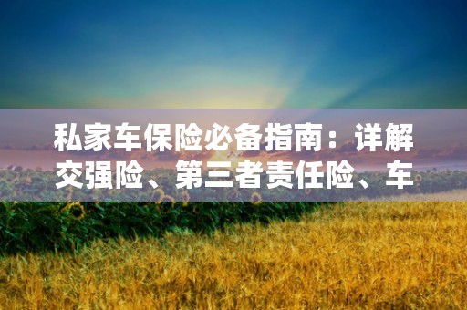 私家车保险必备指南：详解交强险、第三者责任险、车损险购买技巧！