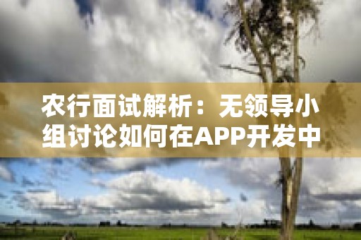 农行面试解析：无领导小组讨论如何在APP开发中实现利大于弊