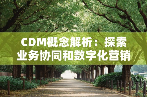 CDM概念解析：探索业务协同和数字化营销的双重增长引擎！