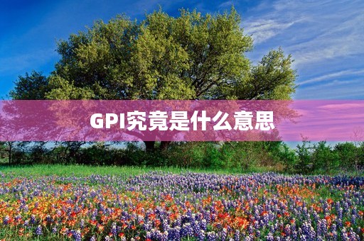 GPI究竟是什么意思