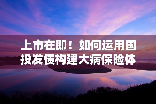 上市在即！如何运用国投发债构建大病保险体系？