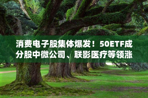 消费电子股集体爆发！50ETF成分股中微公司、联影医疗等领涨！