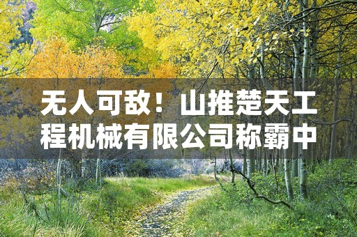 无人可敌！山推楚天工程机械有限公司称霸中国期货市场！