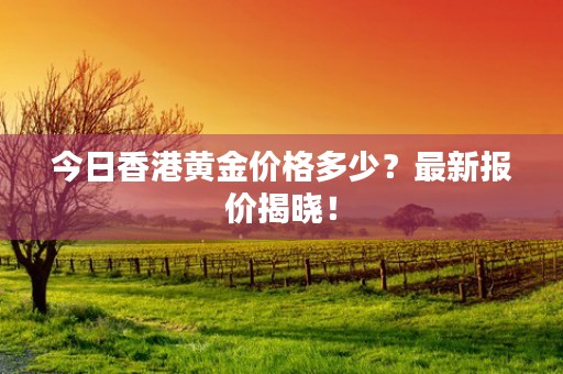 今日香港黄金价格多少？最新报价揭晓！