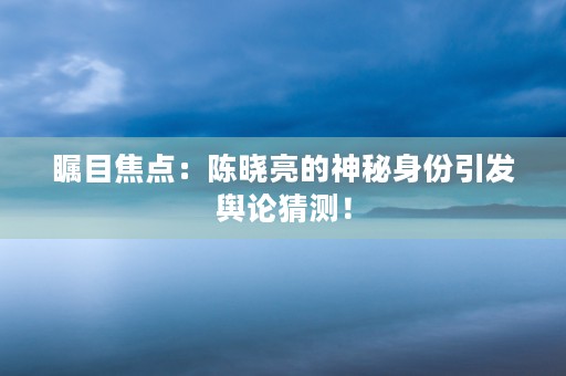 瞩目焦点：陈晓亮的神秘身份引发舆论猜测！