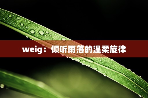 weig：倾听雨落的温柔旋律