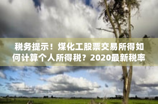 税务提示！煤化工股票交易所得如何计算个人所得税？2020最新税率表直击！