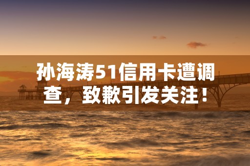 孙海涛51信用卡遭调查，致歉引发关注！