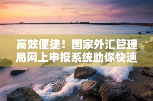 高效便捷！国家外汇管理局网上申报系统助你快速办理跨境资金业务！