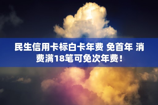 民生信用卡标白卡年费 免首年 消费满18笔可免次年费！