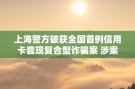 上海警方破获全国首例信用卡套现复合型诈骗案 涉案金额高达6500余万元！