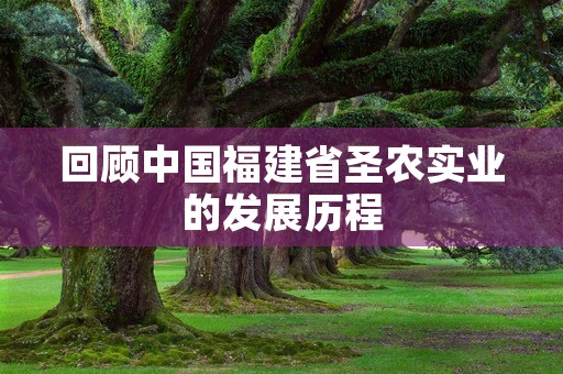 回顾中国福建省圣农实业的发展历程