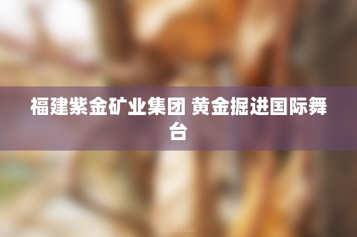 福建紫金矿业集团 黄金掘进国际舞台