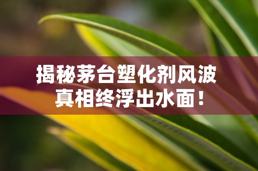 揭秘茅台塑化剂风波 真相终浮出水面！