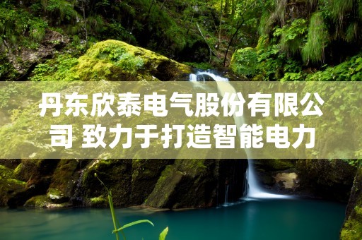 丹东欣泰电气股份有限公司 致力于打造智能电力设备 引领电气行业新风潮！