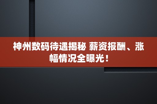 神州数码待遇揭秘 薪资报酬、涨幅情况全曝光！