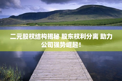 二元股权结构揭秘 股东权利分离 助力公司强势崛起！