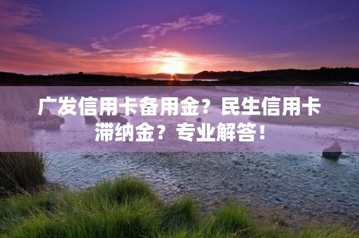 广发信用卡备用金？民生信用卡滞纳金？专业解答！