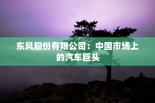 东风股份有限公司：中国市场上的汽车巨头