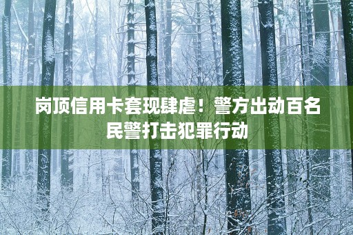 岗顶信用卡套现肆虐！警方出动百名民警打击犯罪行动