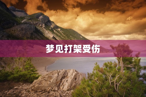 1955年12生肖鼠，探索如何利用1955年出生的属鼠信息来优化网站内容以吸引对应的目标受众