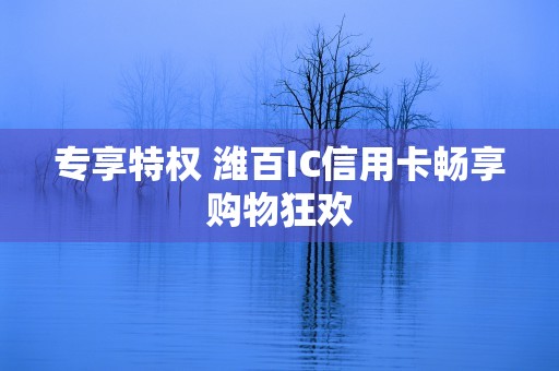 专享特权 潍百IC信用卡畅享购物狂欢